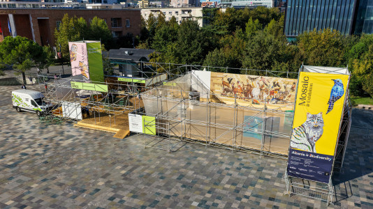 Foto: Die Ausstellungsreihe im Aufbau auf dem Skanderberg-Platz in Tirana
