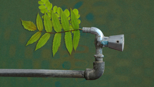 Collage aus einem Wasserhahn aus Metall, aus dessen Auslauf ein grüner Zweig mit Blättern wächst.